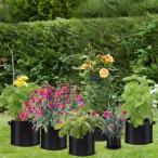 5 галлон 1 листов входит 