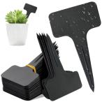  садоводство этикетка растения этикетка 60 листов ввод | большой T type 100 листов ввод | прямой линия type садоводство интерьер повторный 