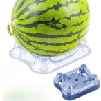 30 шт пластик фрукты. внизу кровать сад растения защита Lux кальмар, Squash, can taro