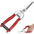 KALOLINNA обрезка . садоводство высота уголь элемент сталь лезвие садовые ножницы сила . ржавчина . сильный . задний .. предотвращение скольжения долговечность 