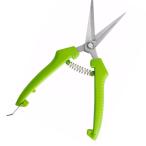 MAEXUS ножницы для обрезки садоводство щипцы из нержавеющей стали обрезка . фруктовое дерево .. цветок. ветка .. дерево. обрезка ржавчина .