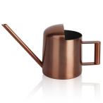 Mitoland лейка Mini ладонь размер нержавеющая сталь 300ml салон декоративное растение суккулентное растение легкий in 