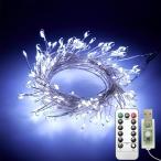  прозрачный Hill (Clearhill) с дистанционным пультом USB. женщина лампа 2 шт,10 футов /3 M 100 LED мигает . бамбук Class 