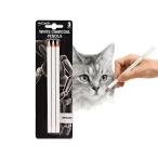 te солнечный карандаш белый древесный уголь кисть 3 шт. входит цветные карандаши рисунок углем материал скетч карандаш поломка трудно . задний .. человек 