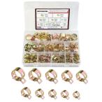 WMYCONGCONG 155枚セット 6-22mm 10サイズ スプリングクランプホースバンドクリップ 65Mn鋼製 亜