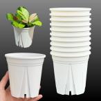 スリット鉢 3.5号 10個 すくすくいい根ポット三晃物産 プロ仕様 直径10.5cm 高さ10.5cm 観葉植