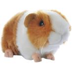 (Qingyun LEE) ぬいぐるみ 小動物 テンジクネズミ ネ