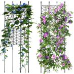 NiHome сад шпалера 12 шт. комплект высота примерно 127cm клематис роза жасмин помидор виноград kyuu
