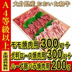 お肉 大分県産 豊後牛 おおいた和牛 まるひで　お肉 大分県産 おおいた和牛 モモ焼肉用 300g + 大判ロース焼肉用 300g + 国産ハーブ 豚バラ 焼肉用 200g (全国どこでも送料無料) ((産地直送の為代引き不可))