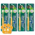シグワン 小型犬用歯ブラシ 4本セット