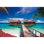 1053ピース ジグソーパズル トロピカルコテージ