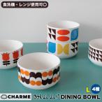 うつわ 器 鉢 スープ ボウル サラダ