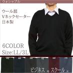 Vネックセータービジネススクール日...