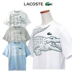 ラコステ Lacoste 父の日 ビッグラコステ プリント メンズ 半袖Tシャツ ワニ オーバー 大きい XL #th-5511-51