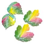  декоративный элемент очарование лист .. leaf красочный 2 шт ручная работа материал рукоделие материал аксессуары Kids ребенок девочка отметка .. подарок подарок pt-2026