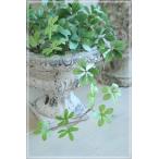 ショッピング陶器 【送料無料】鉢 植木鉢 アンティーク ガーデン 雑貨【コベントガーデン ブランシェ・オールドアーン】Φ19×高さ14.5cm