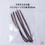 madaga Skull производство vanilla beans 5шт.@ примерно 16cm vanilla. ..