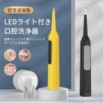 口腔洗浄器 歯石取り 超音波 スケーラー 口腔洗浄機 電動歯ブラシ LEDライト付き 口腔ケア 歯垢 歯用ツール 超音波振動 IPX6防水 3段モード 口腔ケア 口臭