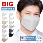 国内最大！マスク 不織布 冷感 大きめ 立体マスク 大きいサイズ メンズ 3Dマスク 耳痛くない 個包装 30枚 大人用 立体マスク 幅広6ｍｍ 飛沫防止 通気性いい