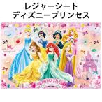  сиденье для отдыха Disney Princess lapntserusinterela659928 детский размер 90×60cm ланч сиденье парк . пара ....