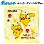 �^�I�� �|�P���� �E�H�b�V���^�I�� �n���h 34�~35cm �|�P�b�g�����X�^�[ pokemon �s�J�`���E