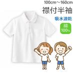 体操着 体操服 純綿 綿100％ 110〜160cm 半袖 ホワイト お受験 スクール 入園 入学 110 120 130 140 150 160 白無地 Tシャツ 白 無地 襟付き 小学校 小学生 中…