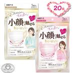 ビースタイル 小顔に魅せる プリーツタイプ 20枚 プレミアムホワイト ドーリーピンク マスク pfe 全国マスク工業会 5枚×4袋 少し 小さめ 白元アース 白元 女…