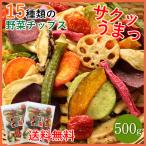 母の日 2024 お菓子 ギフト プレゼント 大地の生菓  野菜チップス 15種類の野菜チップス 500g 大容量 野菜スナック お菓子 おやつ 業務用 おつまみ 送料無料