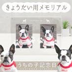 [... . память день ..... фоторамка ] собака кошка love собака love кошка домашнее животное отпечаток руки отпечаток ноги пара type лапа штамп название inserting имя ввод memorial подарок день рождения подарок 