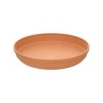 〔3個セット〕 リッチェル ひよっこ プレート 5号 ブラウン