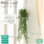 HANAYUKI フェイクグリーン ガジュマル ベビーリーフ 吊り下げ ハンギング 67cm 光触媒加工 人工観葉植物 おしゃれ 開店祝い 開業祝い 引っ越し 店舗装飾