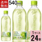 水 ペットボトル いろ�