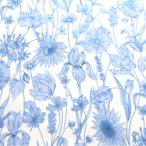 リバティプリント【タナローン/25SS Collection】モノミューズ （ホワイト地ライトブルー系　ＤU）Mono Muse　3635162-25d