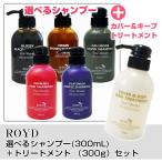 ROYD ロイド 選べる5色 カラーシャンプー(300mL) ＋ ヘアトリートメント(300g)  セット ヘアケア カバー＆キープ 国内正規品 送料無料 【ポイント5倍♪】