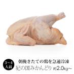 丸鳥 紀の国みかんどり 中抜き 丸鶏 1羽 中サイズ 約2kg〜2.4kg (冷凍) 国産 鶏肉