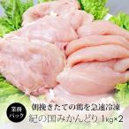 鶏肉 国産 紀の国みかんどり むね肉＆ささみ 2kg 業務用 (冷凍)