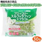  брокколи srufola вентилятор ростки 30g функциональность отображать еда E678(.. номер ) брокколи ростки брокколи. новый . салат Cosmo 