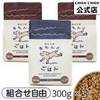 わんこのきちんとごはん 300g×3袋 組み合わせ自由 ドッグフード シニア アレルギー 国産 日本産 無添加 グルテンフリー ダイエット 極小粒 魚 豚