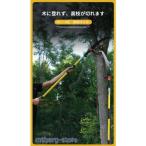 4m обрезка на высоком месте basami4 -ступенчатый свободный эластичный ручной ножницы для обрезки бритва имеется долговечность сплав сталь высота ветка пила . длина форма садовые ножницы 