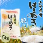 選べる精米方法 ＜白米はたは無洗米＞ 令和7年産 はえぬき【 精米 】5kg（5kg×1袋）山形県 最上地域産 《 産地直送 ・ 注文後精米 ・ 送料無料 》