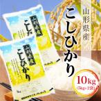 選べる精米方法 ＜白米はたは無洗米＞ 令和5年産 こしひかり 【精米】 10kg （5kg×2袋） 山形県最上地域産 《送料無料》