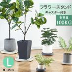 植木鉢トレー キャスター付き 45cm 受け皿 台車 耐荷重100KG トレー プレート 観葉植物 移動 日光浴 鉢植え プランタースタンド 鉢皿 受け皿 トレイ プレート
