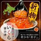 2022年新物！ 北海道 礼文・利尻産 超高級 若子 鮭いくら 醤油漬 イクラ 100g