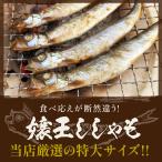 �쉤 ������� ����5L�T�C�Y���I 250g�~4 �v1kg �V�V���� ����������