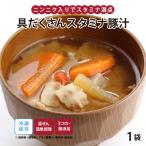 スタミナ 豚汁【ニンニク入りで具だくさん】手作り 健康 惣菜 弁当 知久屋 (ちくや) お取り寄せ 冷蔵 真空パック 疲労回復 汁物 【具だくさんスタミナ豚汁】