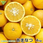 甘夏 5kg 送料無料 化学肥料・農薬・防腐剤不使用 大きさおまかせ 鹿児島県産 熊本県産 あまなつ クール便