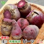 ( есть перевод ) Be tsu иметь машина культивирование 2kg Кагосима префектура производство Miyazaki префектура производство стол свекла Beetle -to красный свекла огонь ..satou дайкон органический бойцовая рыбка цианин рефрижератор рейс мытье 