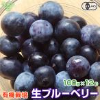 生ブルーベリー 100g×12p 有機栽培 化学肥料・農薬不使用 鹿児島県産 計1.2kg ベリー 有機JAS 無農薬 冷蔵便 fresh blueberry 発送期間6〜8月