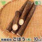  gobou ( большой ) 10kg иметь машина культивирование Кагосима префектура производство Miyazaki префектура производство лопух корова . нет пестициды земля имеется роза местного производства довольно большой futoshi . обработка органический organic обычная температура рейс 