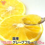  местного производства грейпфрут 10kg специальный культивирование Kumamoto префектура производство Кагосима префектура производство химия удобрение * убийца сорняков *. коррозия . не использование размер случайный .. кислота тест . сильный Dan can вид для бизнеса отправка период 4~5 месяц 